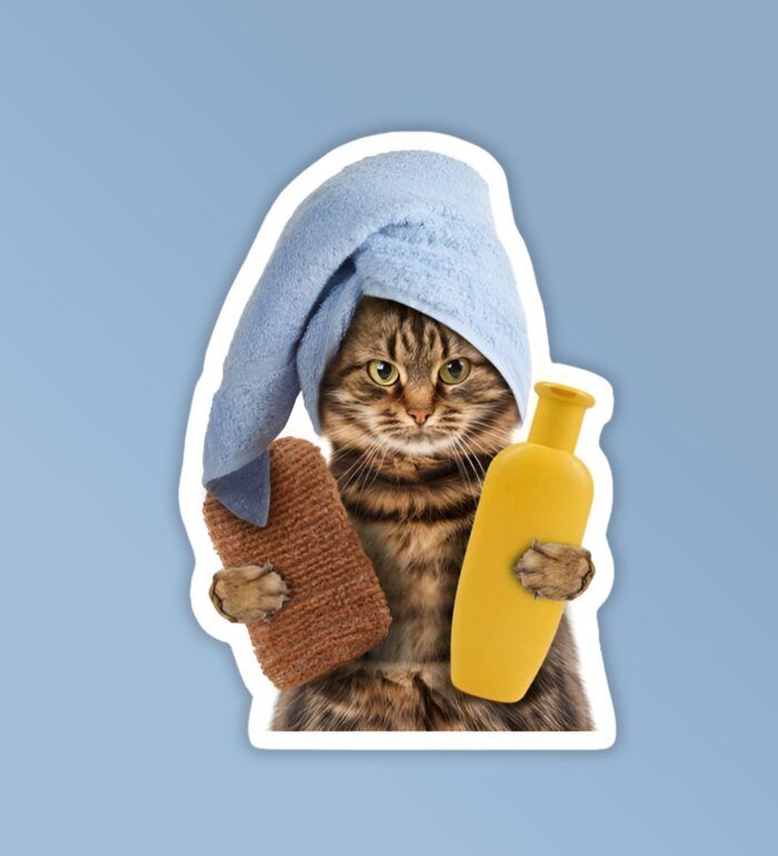 Skincare Kitty Funny Cat Meme Laptop   Mobile Sticker