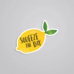 Squeeze The Day Motivational Stickers