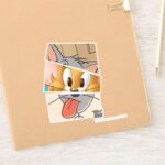 Tom And Jerry Tom And Jerry Mashup Sticker