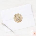 Tom Cat Gotchur Tung Tonic Classic Round Sticker