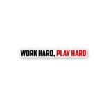 Work Hard Play Hard Sticker
