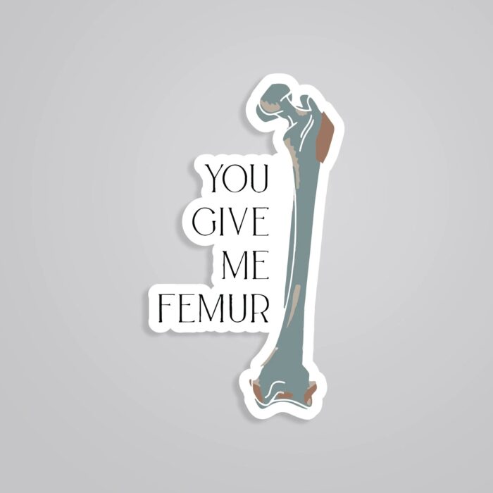 You Give Me FEMUR Witty Stickers