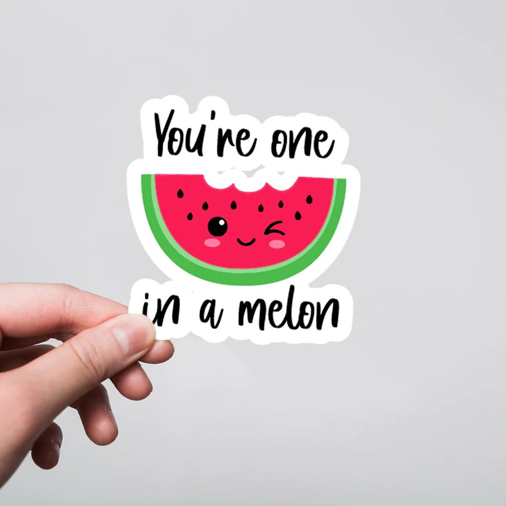 Youre One In A Melon Witty Stickers