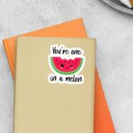 Youre One In A Melon Witty Stickers