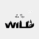 Into the wild Sticker
