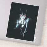 Batman Catwoman Faces Of Evil Cover Illustration Sticker