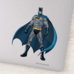 Batman Protector Sticker