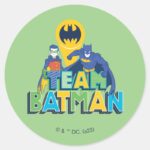 Batman Team Batman Robin Classic Round Sticker