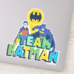Batman Team Batman Robin Sticker