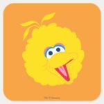 Big Bird Face Square Sticker