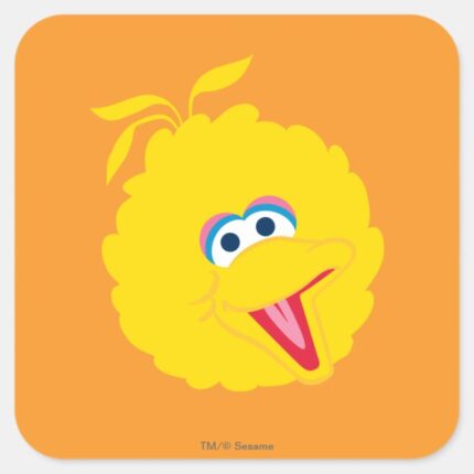 Big Bird Face Square Sticker