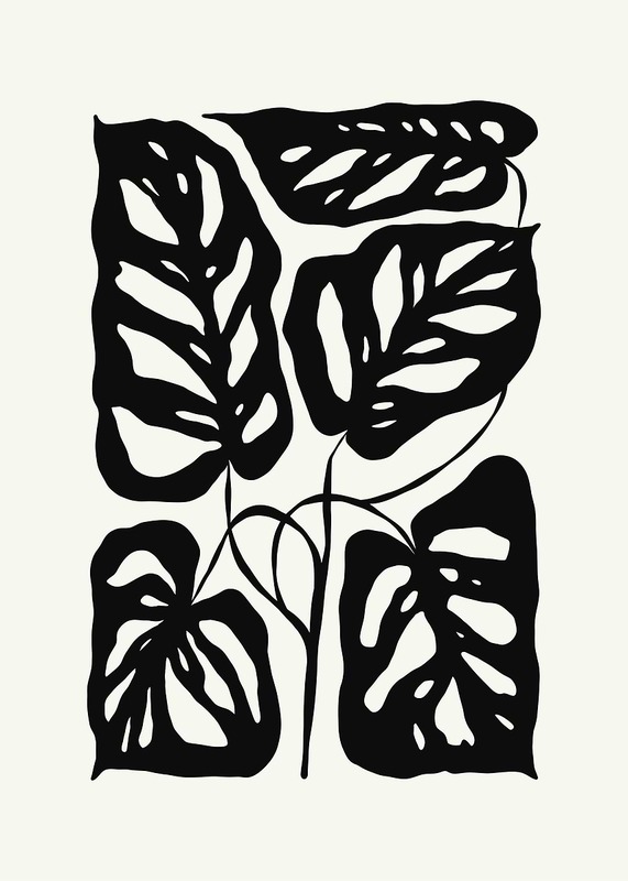 Black And White Monstera Leaves Poster