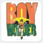 Boy Wonder Graphic Square Sticker
