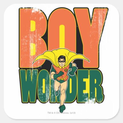 Boy Wonder Graphic Square Sticker