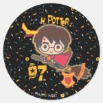 Cartoon Harry Potter Quidditch Seeker Classic Round Sticker