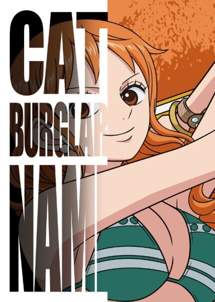 Cat Burglar Nami One Piece Poster