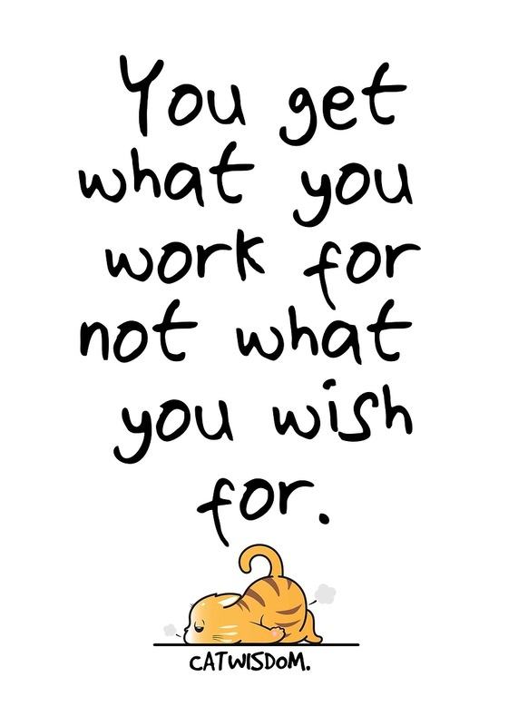 Cat Wisdom Motivation Poster