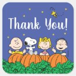 Charlie Brown And Gang Pumpkin 1st Birthday Square Sticker