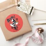 Chibi Harley Quinn In A Box With Hammer Classic Round Sticker