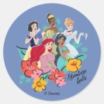 Disney Princess Adventure Gals Classic Round Sticker