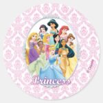 Disney Princess Cinderella Featured Center Classic Round Sticker