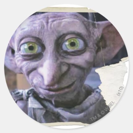 Dobby 1 Classic Round Sticker