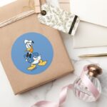 Donald Duck Smile Classic Round Sticker