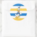Donald Duck Surprise Classic Round Sticker