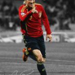 Fernando Torres Football Poster