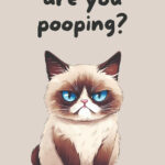 Funny Cat Bathroom Humor Poster