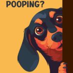 Funny Dachshund Pooping Poster