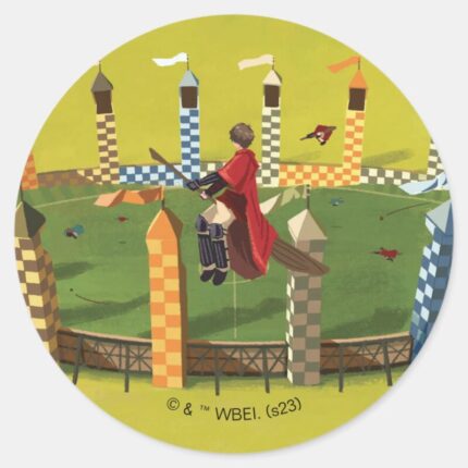 HARRY POTTER™ Seeking The Golden Snitch Classic Round Sticker