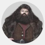 Hagrid And Dog Classic Round Sticker