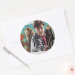 Harry Hermione And Ron 1 Classic Round Sticker