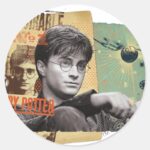 Harry Potter 13 Classic Round Sticker
