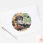 Harry Potter 13 Classic Round Sticker