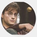 Harry Potter 17 Classic Round Sticker