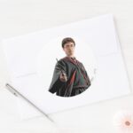 Harry Potter At The Ready Classic Round Sticker