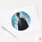 Harry Potter HPE6 2 Classic Round Sticker