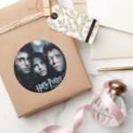 Harry Potter Movie Poster Classic Round Sticker