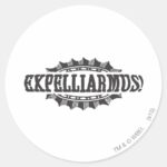 Harry Potter Spell Expelliarmus Classic Round Sticker