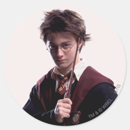 Harry Potter Wand Raised Classic Round Sticker