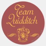Harry Potter Team QUIDDITCH™ Classic Round Sticker