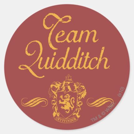Harry Potter Team QUIDDITCH™ Classic Round Sticker