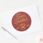Harry Potter Team QUIDDITCH™ Classic Round Sticker