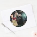 Harry Potter And Dumbledore Classic Round Sticker