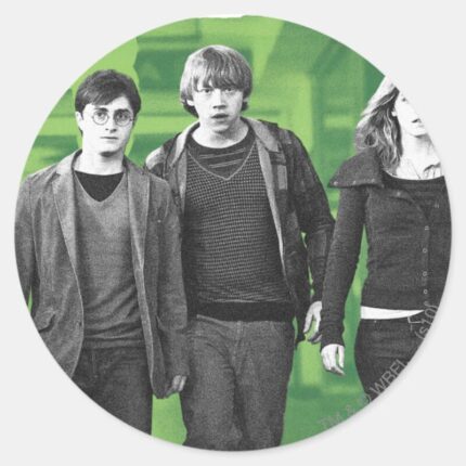 Harry Ron And Hermione 1 Classic Round Sticker