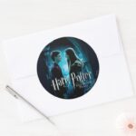 Harry And Ginny 1 Classic Round Sticker