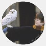 Harry And Hedwig 3 Classic Round Sticker
