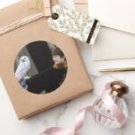 Harry And Hedwig 3 Classic Round Sticker